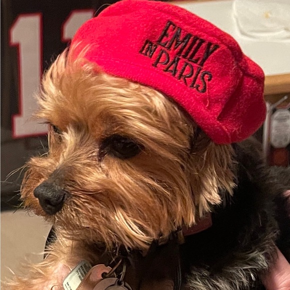 Emily in Paris Pet Beret - Official Netflix Promo - Picture 8 of 8